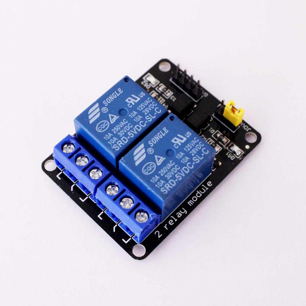 Electronic Modules